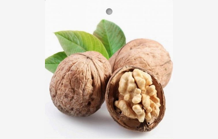 Orech vlašský JUPITER 50-100 cm, kont. 6 l