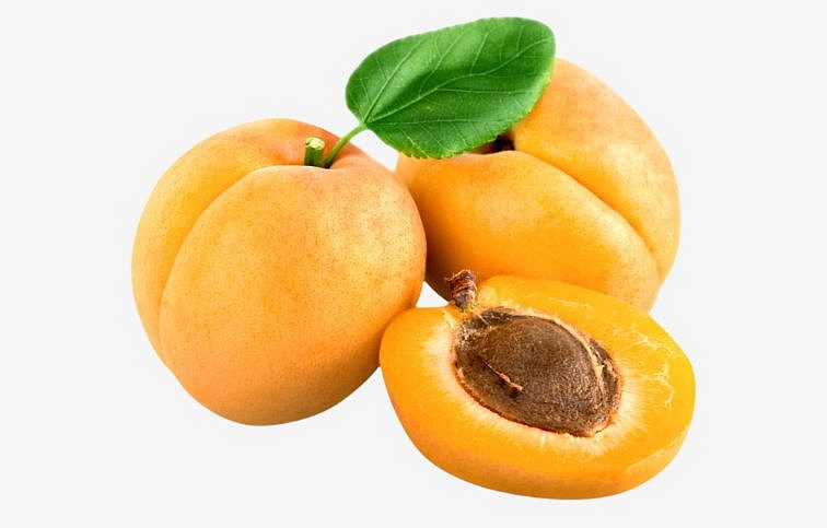 Marhuľa Luizet na cca 100 cm kmeni, výška 150-170 cm, obvod kmeňa 6-8 cm, kont. 10 l