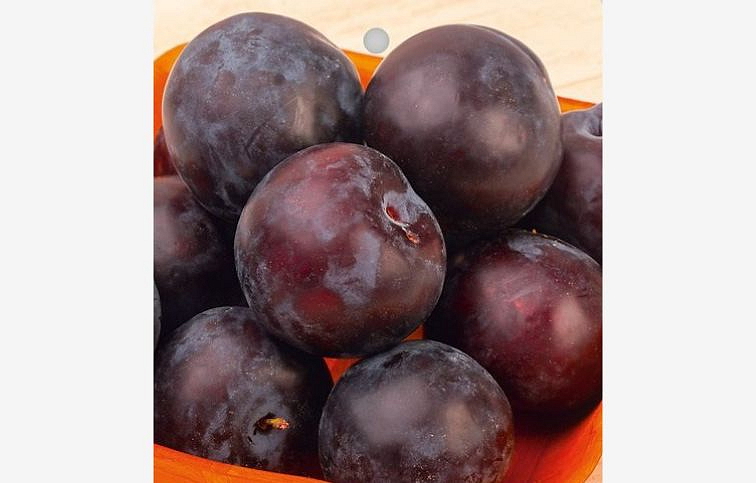 Slivkomarhuľa Flavor Heart, podpník myrobalán, voľnok.