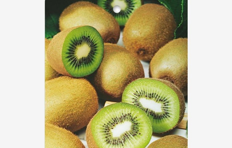Kiwi veľkoplodé SOLO 30-50 cm, samoopelivé, kont. 2 l