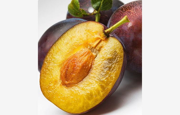 Slivka Bystrická muškátová, podpník myrobalán, voľnok.