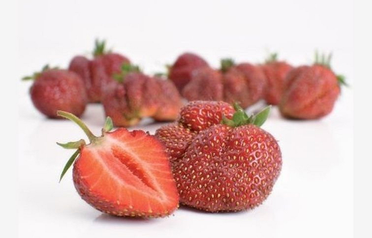 Jahoda Karmen, multiplato 10 ks