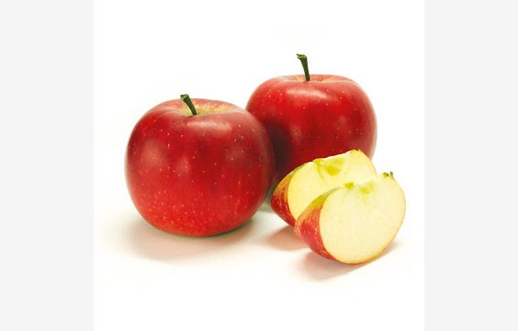 Jabloň Red Boskoop, podp. M9, voľnok.