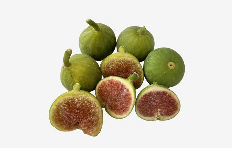 Figovník Brogiotto Bianco na cca 70-90cm kmienku, v. 140-180cm, obv. km. 6-8cm, kont. 15 l