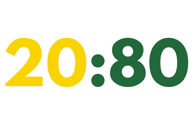 Vernostný program