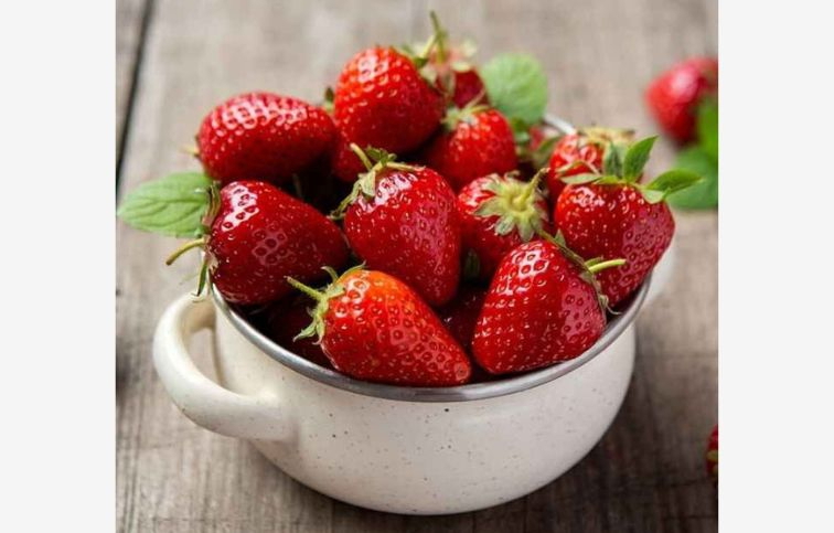 Jahoda stálerodiaca Aromas, multiplato 10 ks