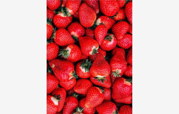 Jahoda stálerodiaca Aromas, multiplato 10 ks