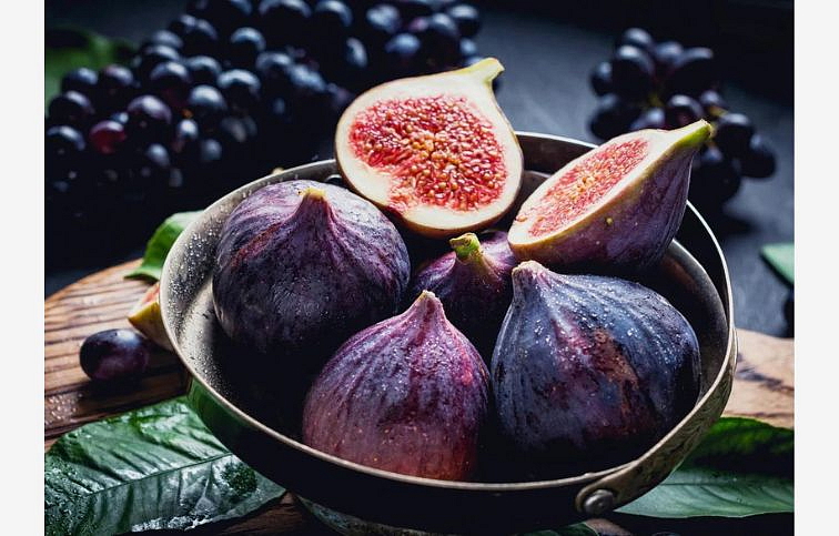 Figovník Turca 30-40 cm, kont. 2 l