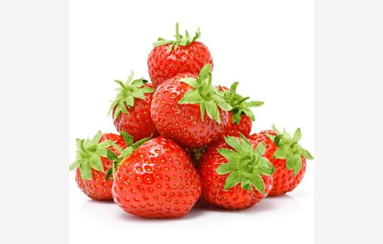 Jahody Korona - Frigo sadba A, zväzok 10 ks