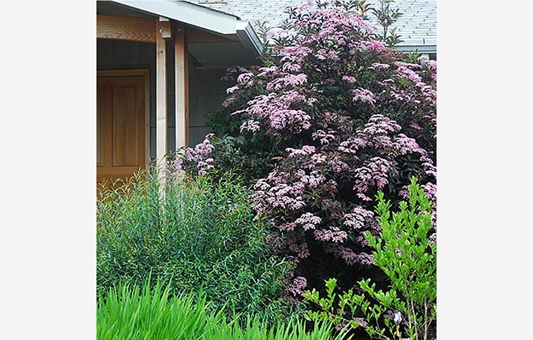 Baza čierna Black Beauty 20-40 cm, kont. 3 l