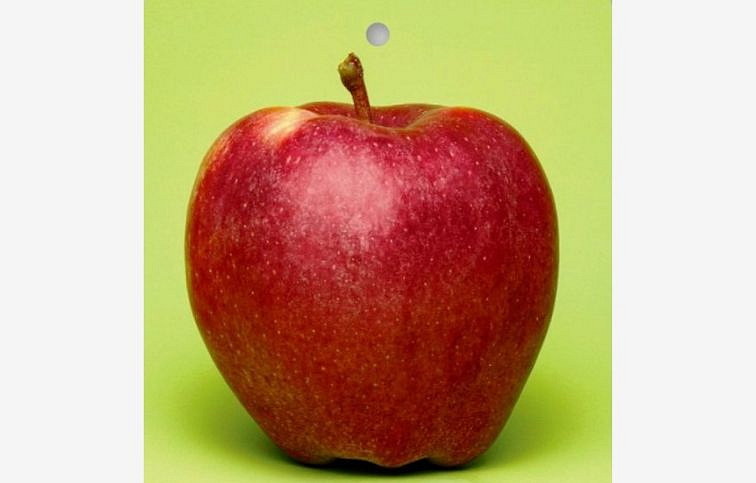 Jabloň Starking, podp. P14, voľnok.