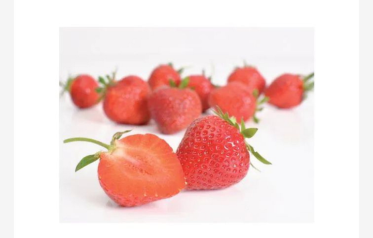 Jahody Florence - Frigo sadba A, zväzok 10 ks