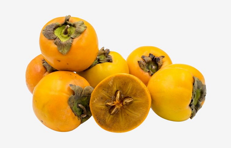 Hurmikaki Vanilla 120-150 cm, kont. 2 l