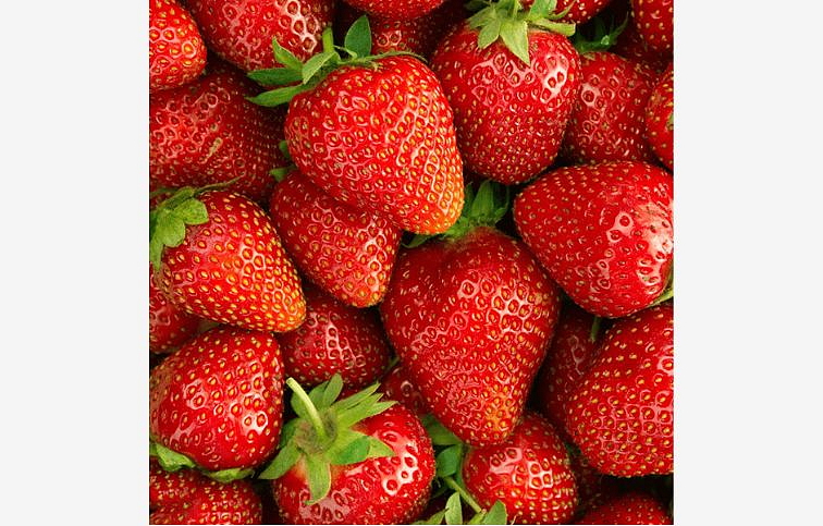 Jahoda Elsanta, multiplato 10 ks