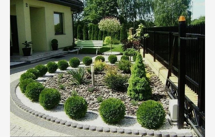 Tuja západná DANICA cca 30 cm, priemer 30-35 cm, kont. 9 l