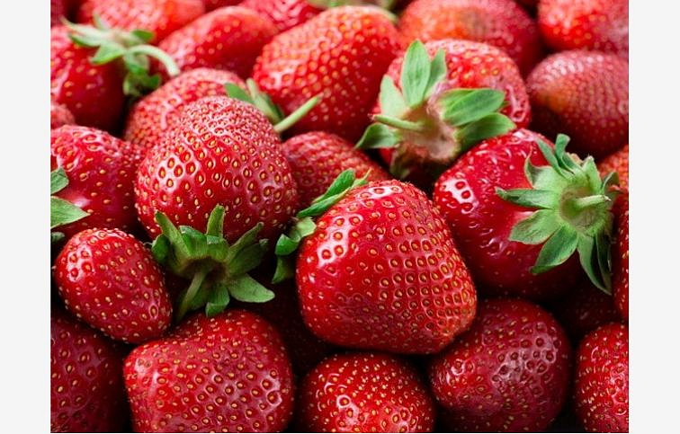 Jahody Florence - Frigo sadba A, zväzok 10 ks