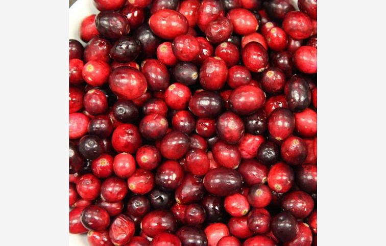 Brusnica Pilgrim, kont. 1 l