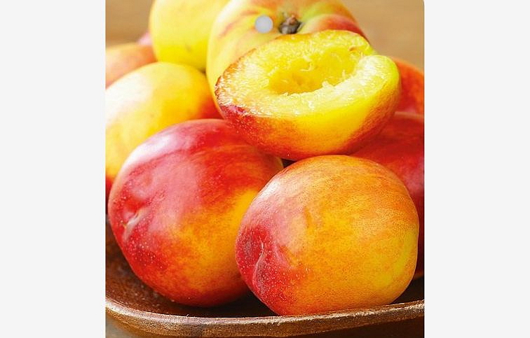 Nektarinka Star Red Gold na cca 100cm kmeni, výška 170-200cm, obv. km. 6-8cm, kont. 10l