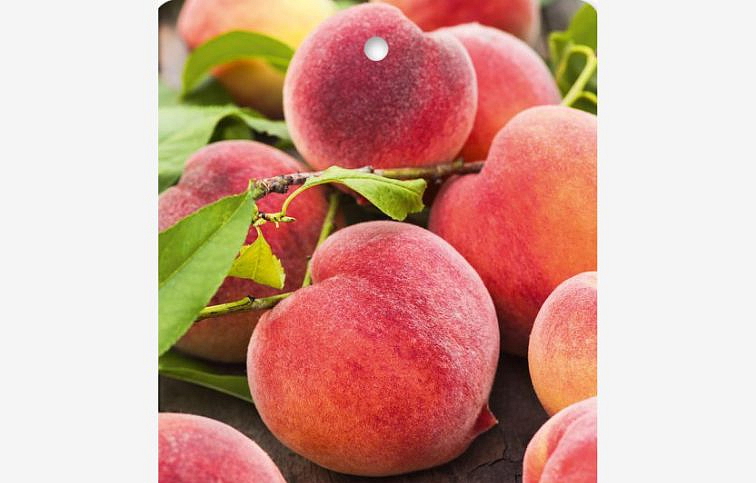 Broskyňa Dixired, podpník Rakoniewická, voľnok.