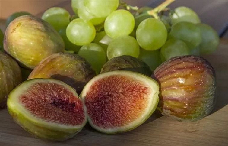 Figovník Goutte dOR 40-70cm, kont. 9 l