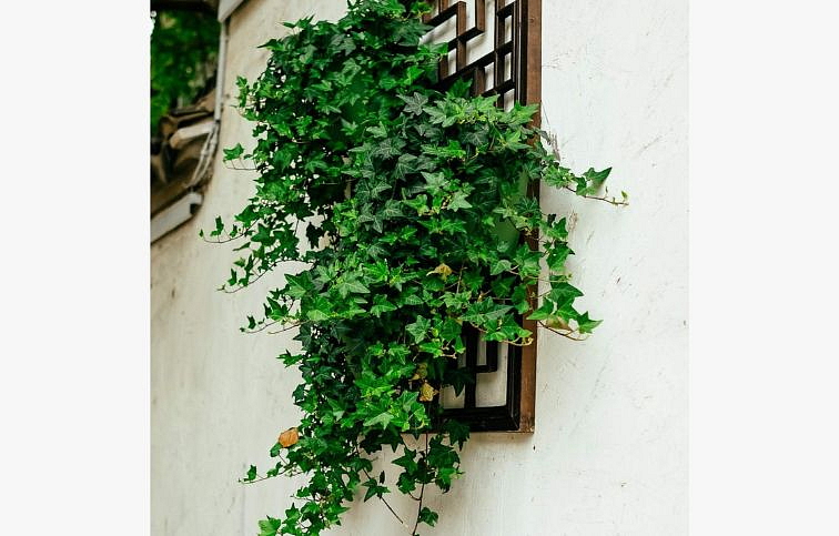 Brečtan Eva, kont. p13