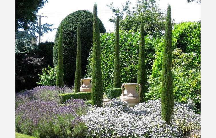 Cyprus vždyzelený Totem 50-60 cm, kont. 3 l