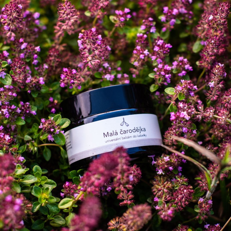 Univerzální hojivý balzám (nejen) na rty, položený ve fialových drobných kvítkách