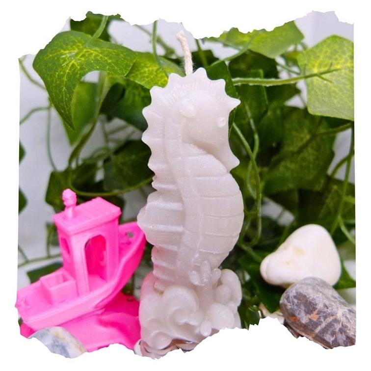 Mořský koník svíčka