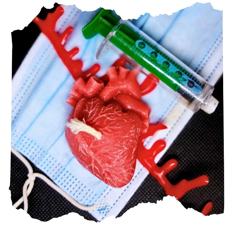 Lidské srdce svíčka