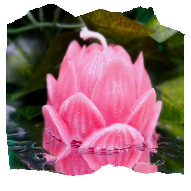 Lotosový květ svíčka