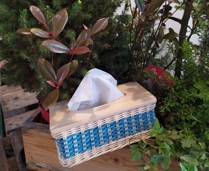 Kapesníčkovník- světle modrý