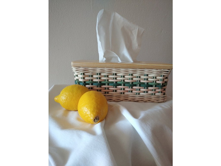 Kapesníčkovník-zelený pruh