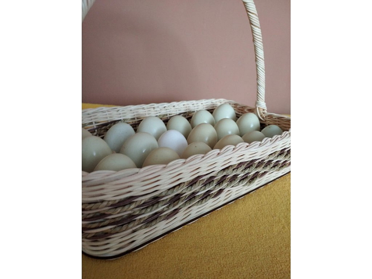 Podnos na vajíčka trojkombinace-18 ks