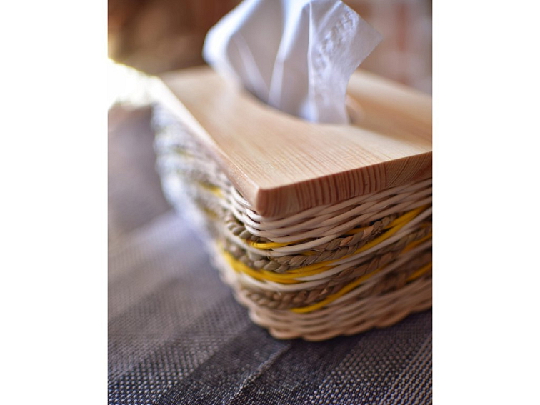 Kapesníčkovník žlutý Jaro