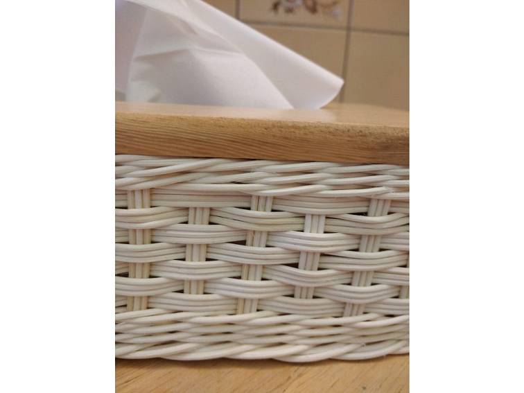 Kapesníčkovník cik- cak borovice