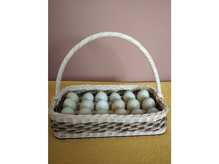 Podnos na vajíčka trojkombinace-18 ks