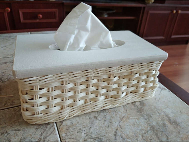 Kapesníčkovník cik -cak bílý