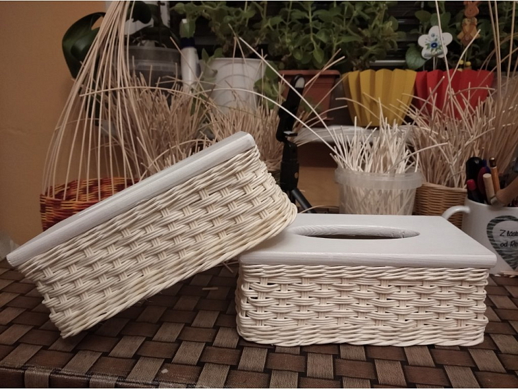 Kapesníčkovník cik -cak bílý