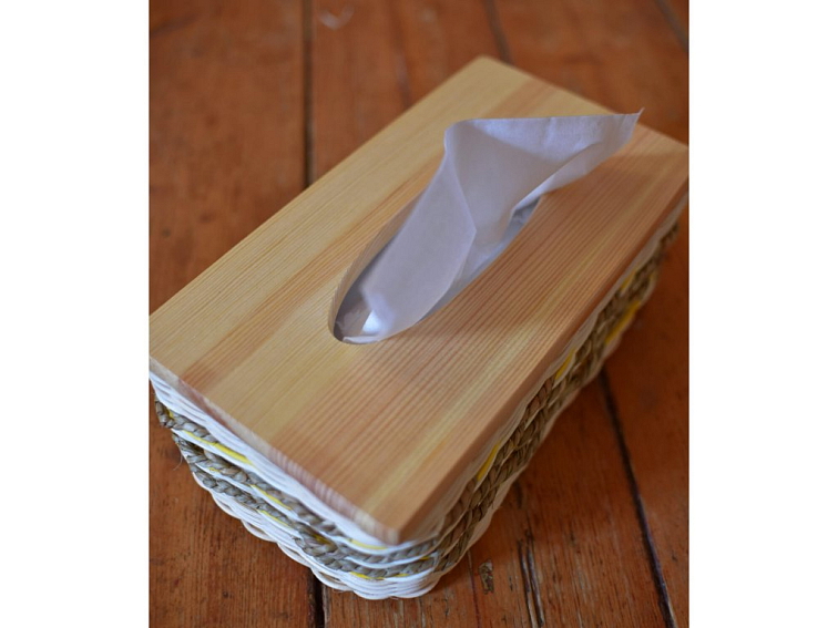 Kapesníčkovník žlutý Jaro