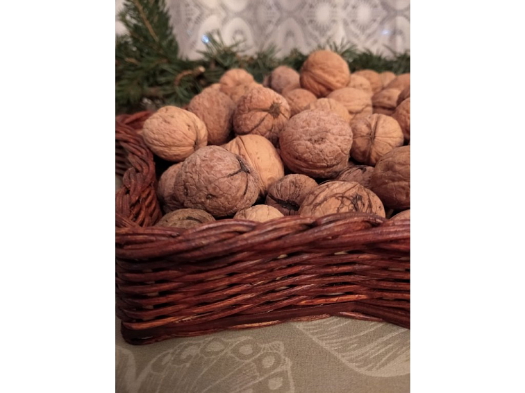 vánoční hvězda - lakovaná