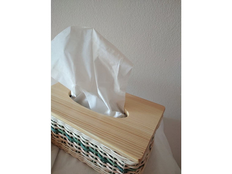 Kapesníčkovník-zelený pruh