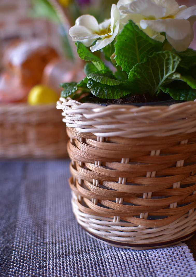 Květináč- sv.hnědá páska