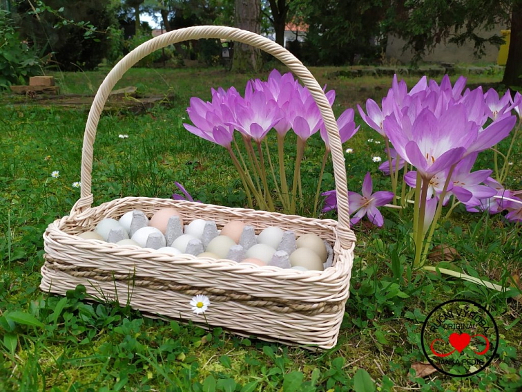 Podnos na vajíčka 18 vajec