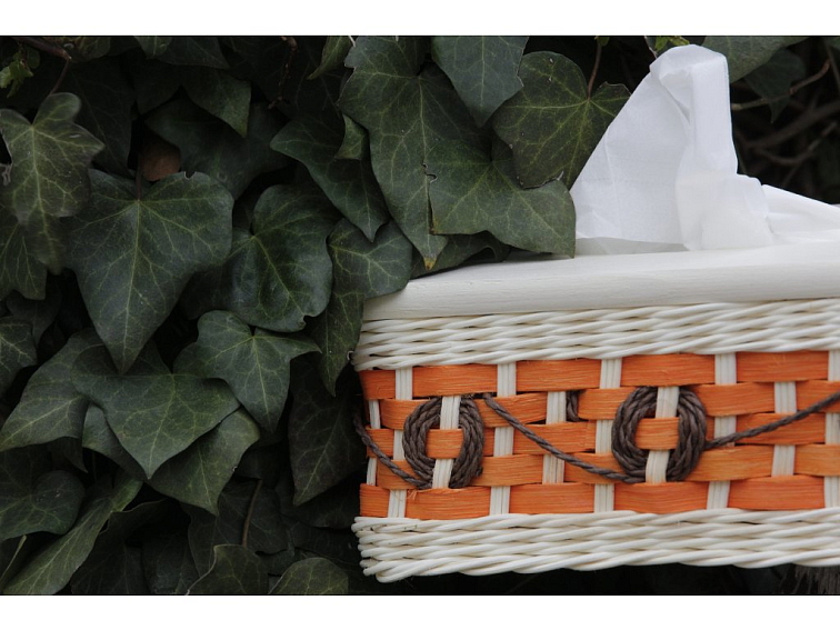 Kapesníčkovník s kruhy