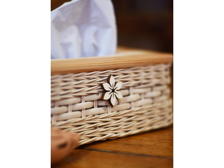 Kapesníčkovník přírodní