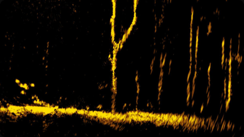 Lowrance Sonar Elite FS 10 Sonda Active Imaging 3V1