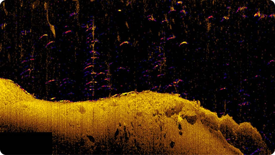 Lowrance Sonar Elite FS 10 Sonda Active Imaging 3V1