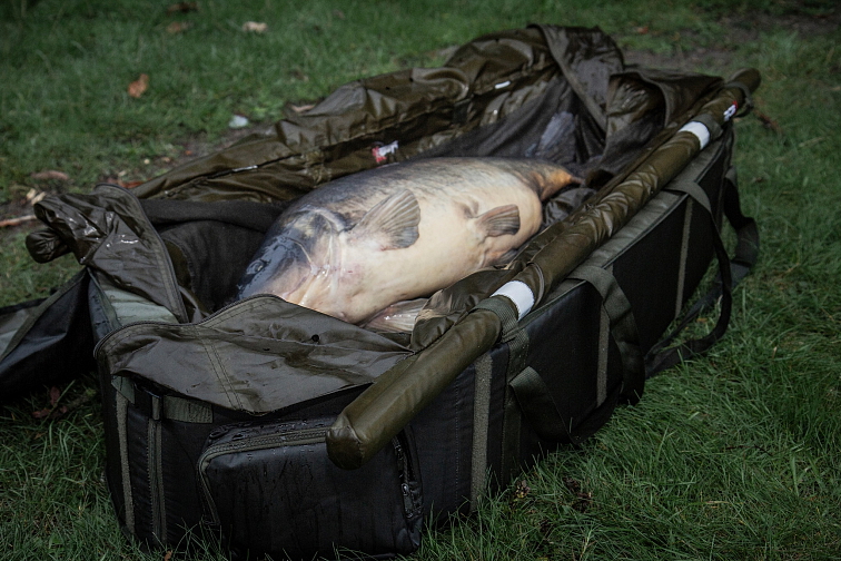 RCG podložka pod kapry Venator DLX