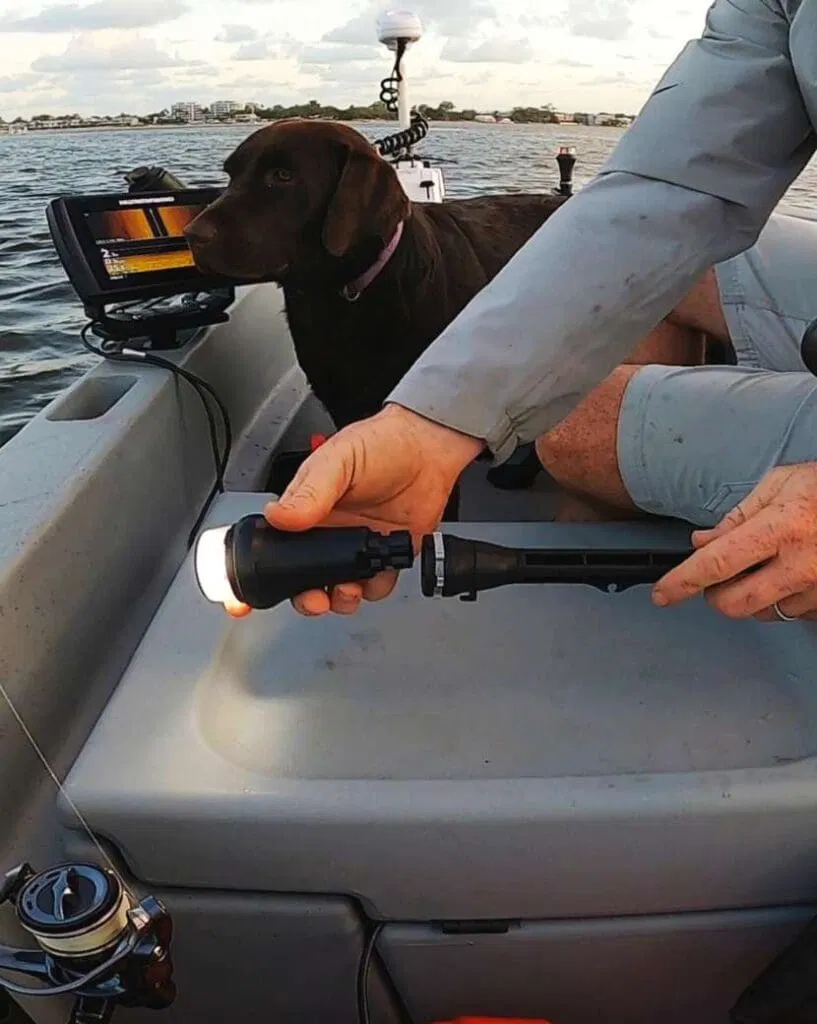 Railblaza Poziční Světlo 360° Bílé Pro Čluny A Kajaky