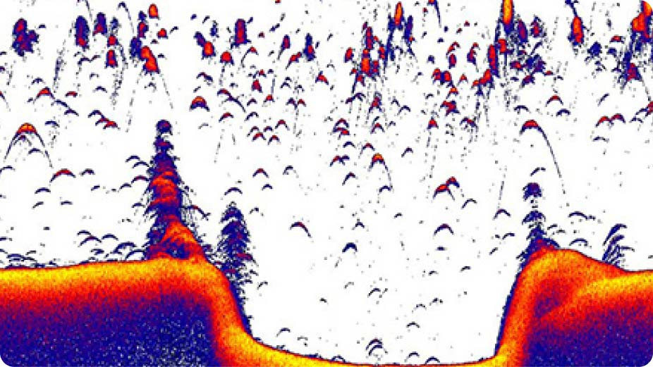 Lowrance Sonar Elite FS 10 Sonda Active Imaging 3V1